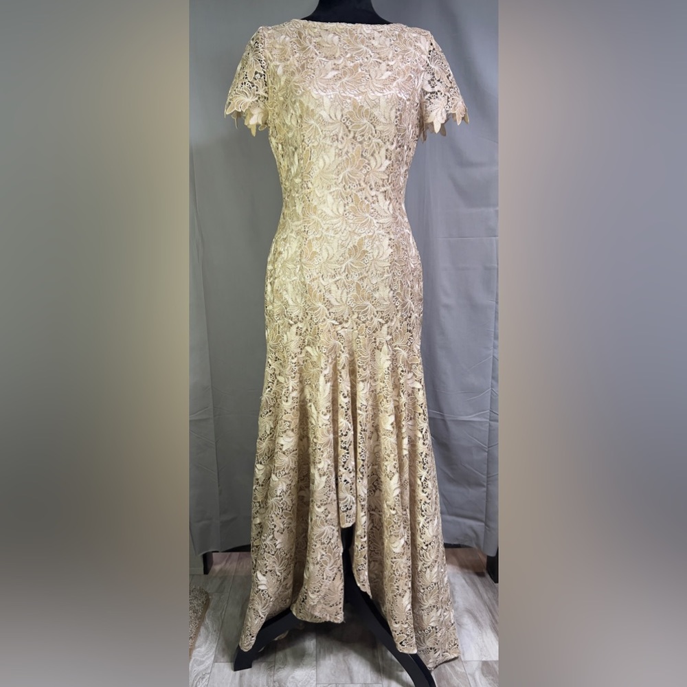 Tahari by Arthur S. Levine Gold Embroidered Evening Gown Size 8 Mermaid Lace